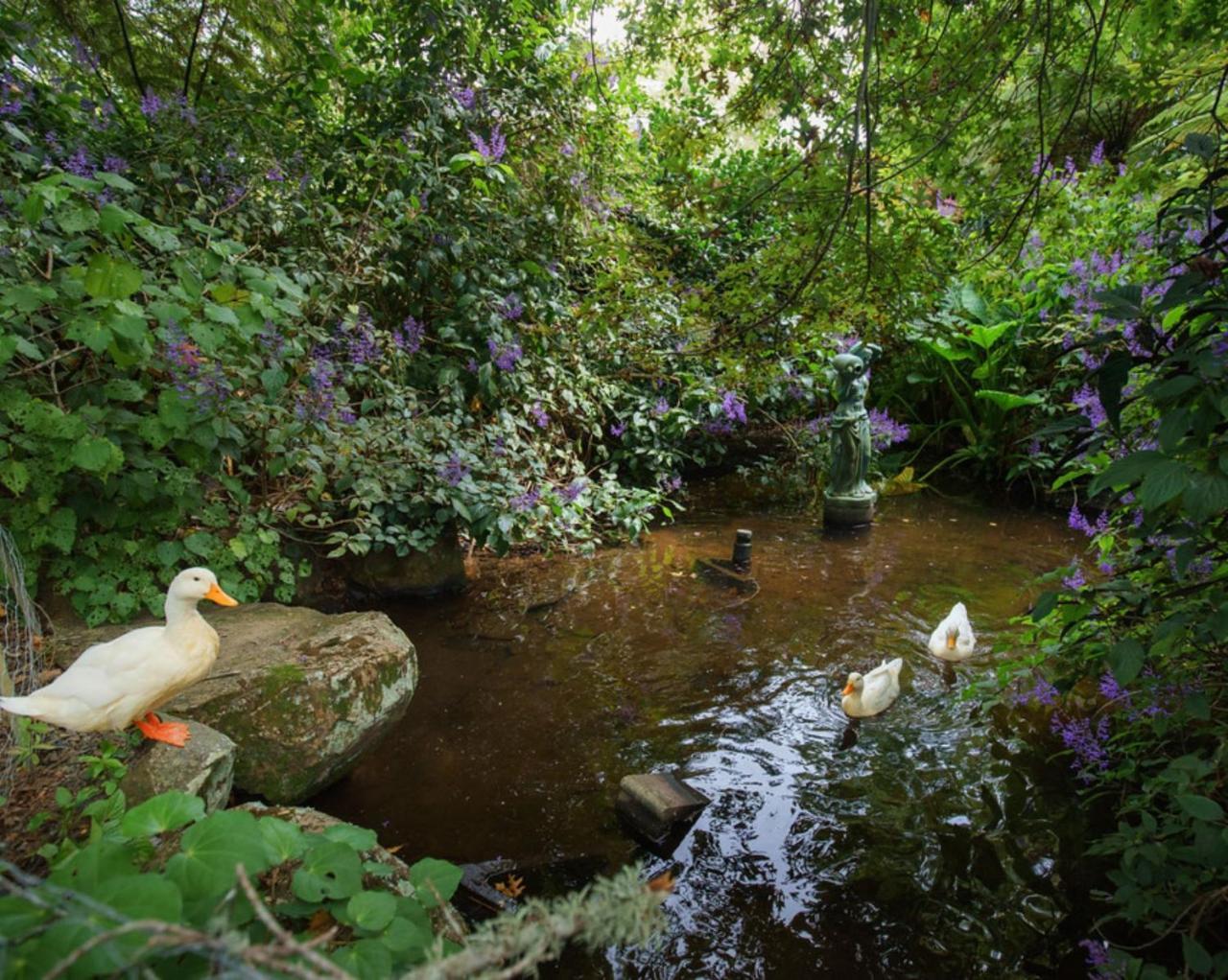 Greenmantle Estate Hotel Paraparaumu Dış mekan fotoğraf