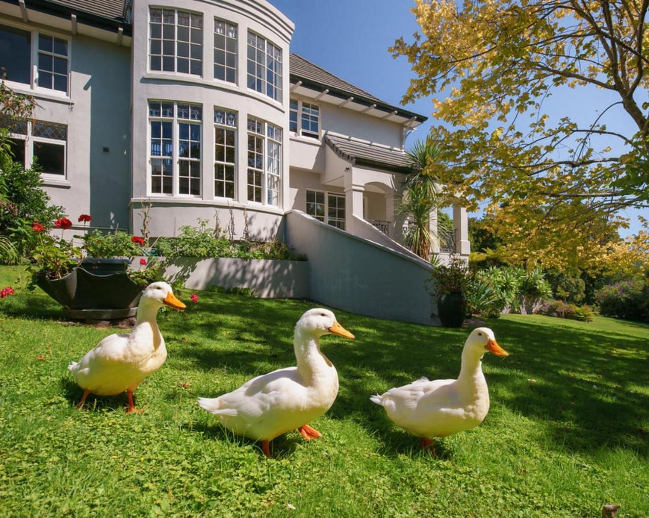 Greenmantle Estate Hotel Paraparaumu Dış mekan fotoğraf