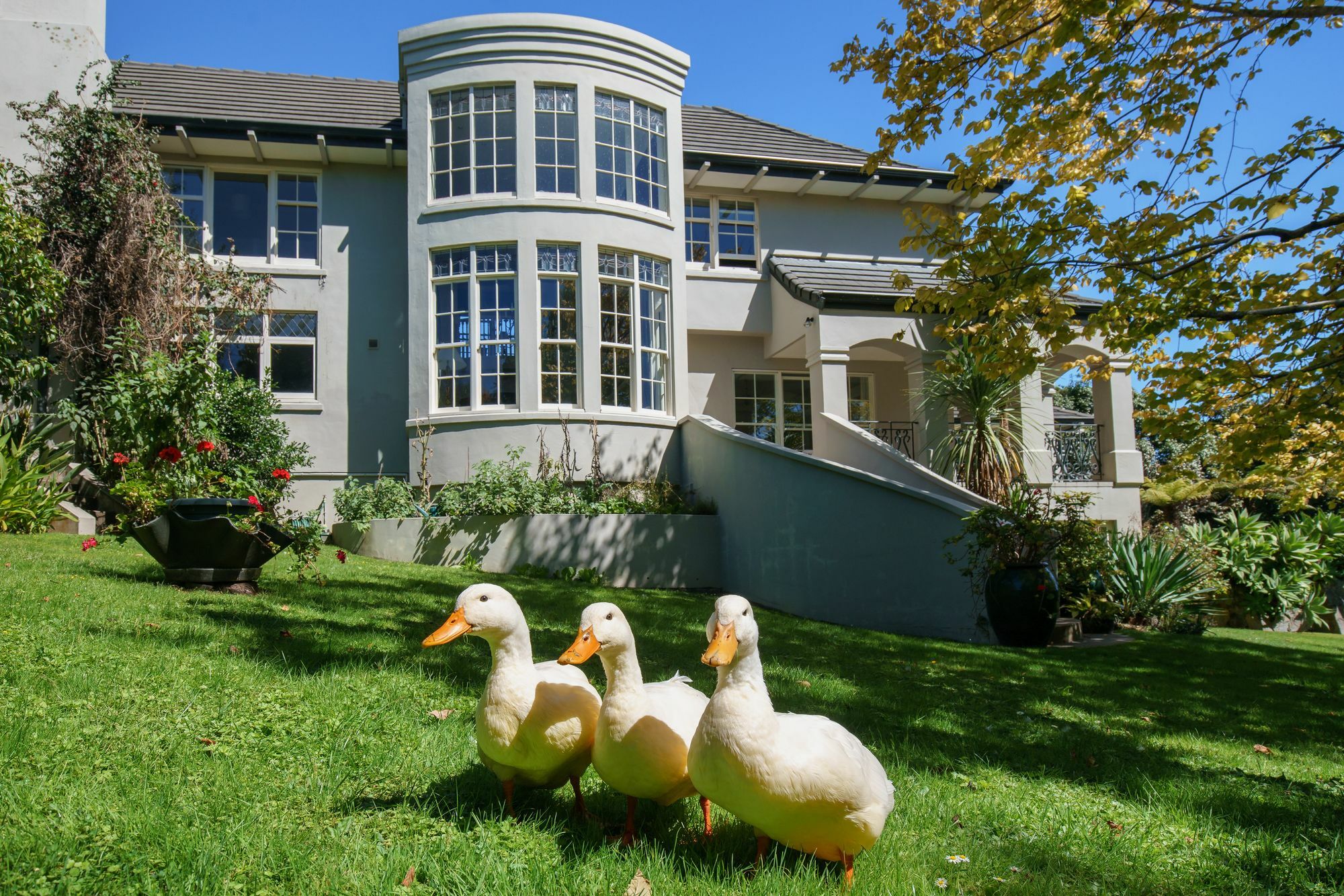 Greenmantle Estate Hotel Paraparaumu Dış mekan fotoğraf